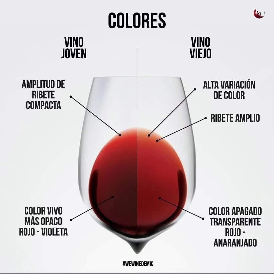 wine-colors-red-white-pink1.jpg