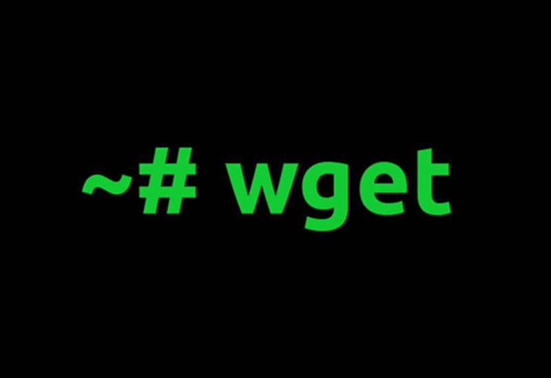 wget.jpg